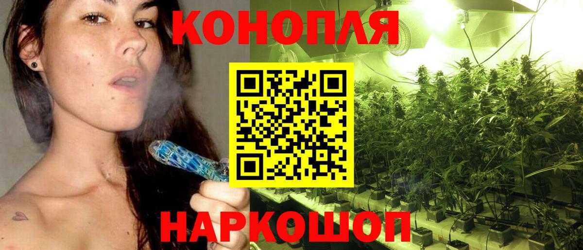 Бошки марихуана MAZAR Славгород